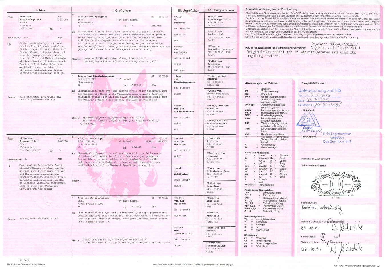 V Bona vom Spitzgrund Sch1 German import female pedigree