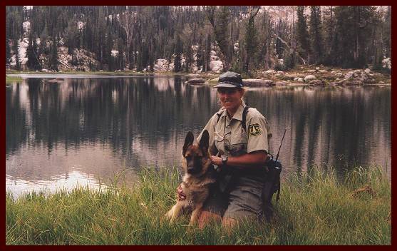 German Shepherd male Luke vom Waldenhaus